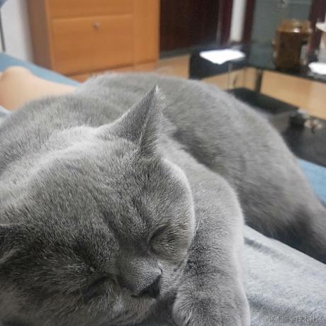 秋裤于2021-05-23 17:06发布的图片