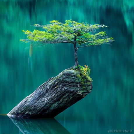 在这儿不行于2021-06-01 11:25发布的图片