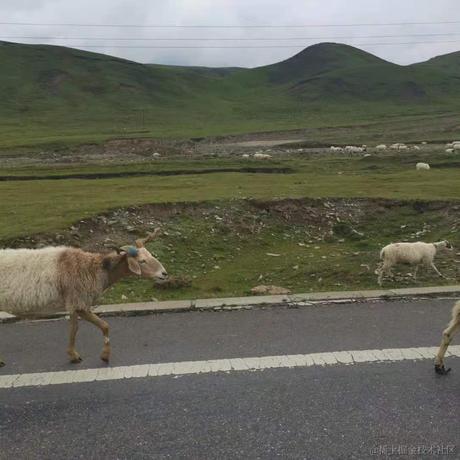 机器瓦力于2021-08-30 17:07发布的图片