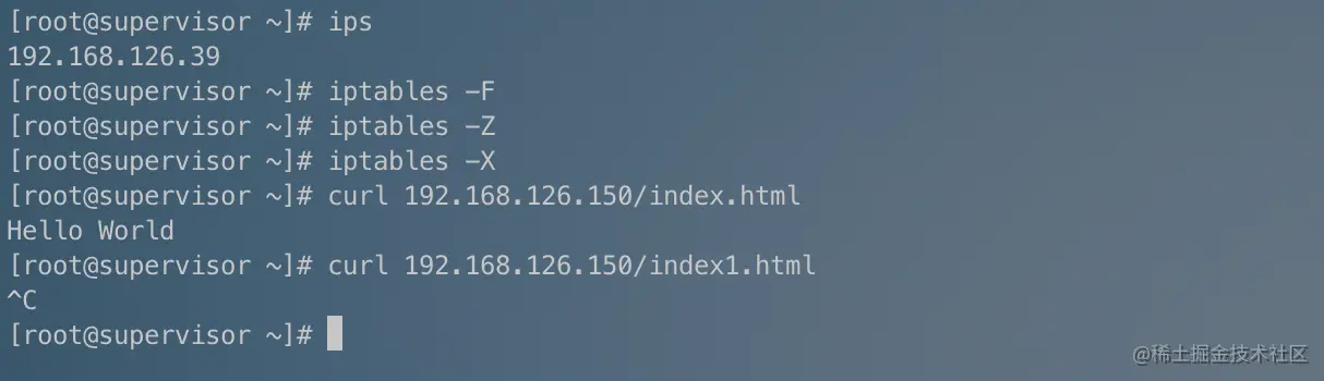 image-20220215145053536