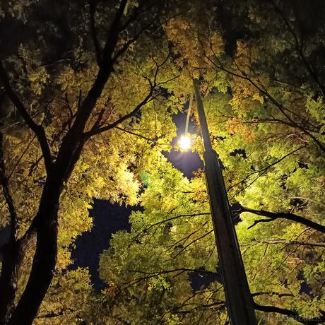 用户9199001030719于2022-11-14 23:48发布的图片