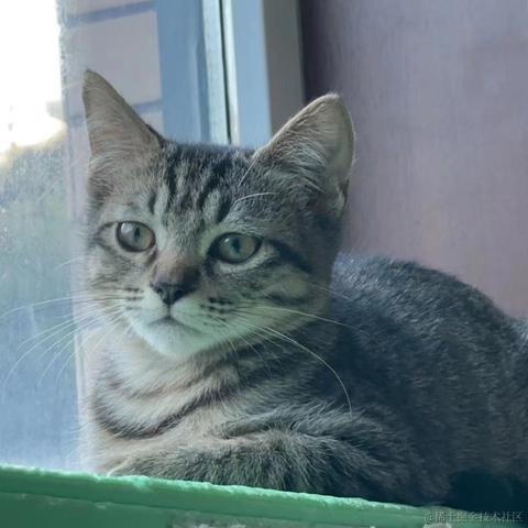 知_足于2023-10-20 15:49发布的图片