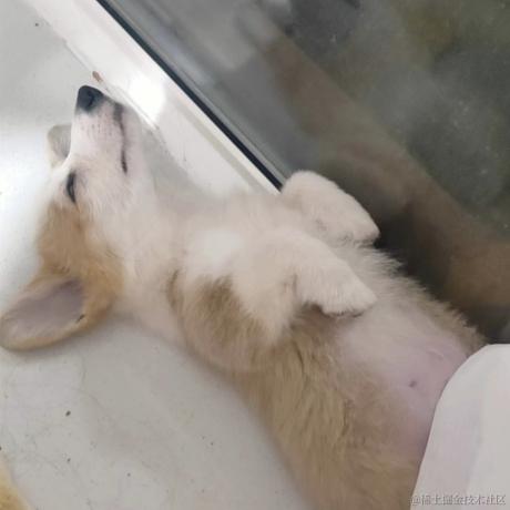 TiAmo0于2022-11-23 13:39发布的图片