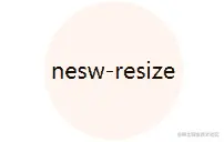 nesw-resize.gif