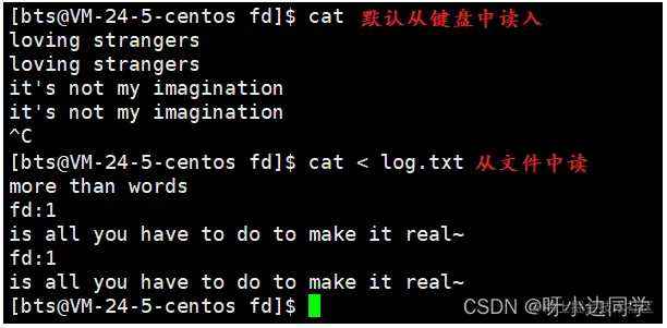 <img src="C:\Users\13136\AppData\Roaming\Typora\typora-user-images\image-20220505193407951.png" alt="image-20220505193407951" style="zoom:80%;" />