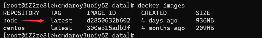 node-in-docker
