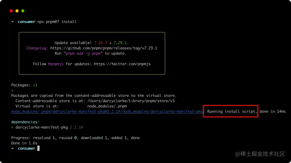 pnpm 终端执行脚本