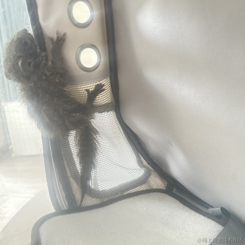 copy_于2024-06-08 17:44发布的图片