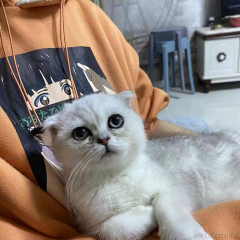 August814于2021-12-20 19:38发布的图片