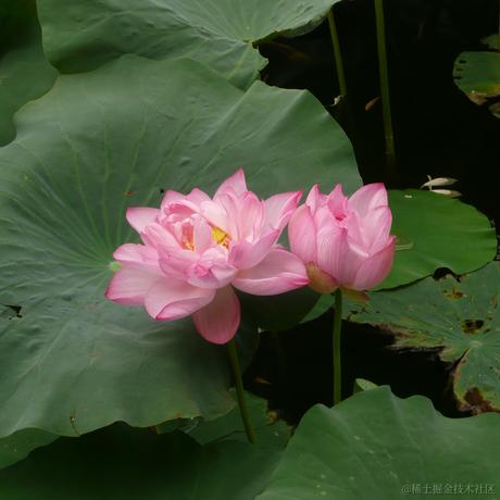 日月昭昭于2023-05-18 10:23发布的图片