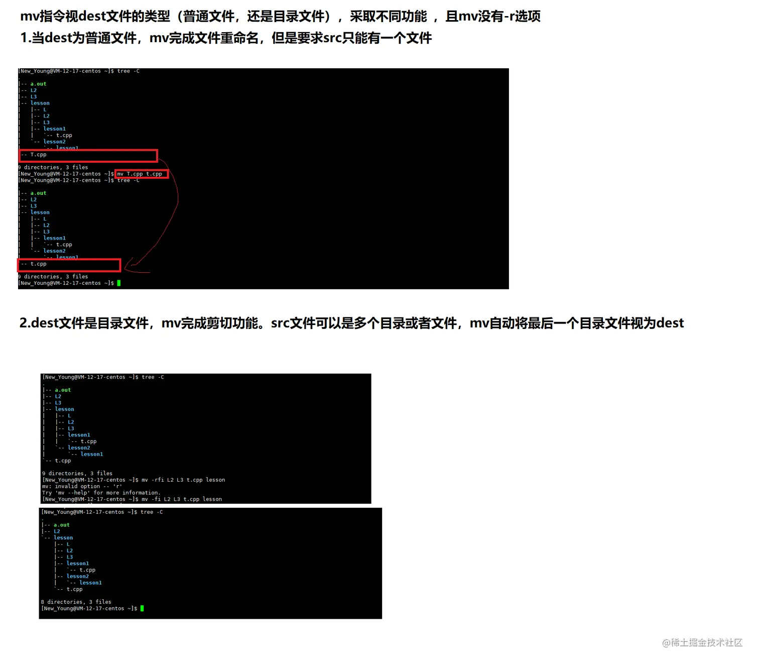 image-20220511222243545