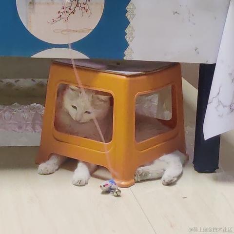 用户7210340961494于2023-01-26 23:01发布的图片