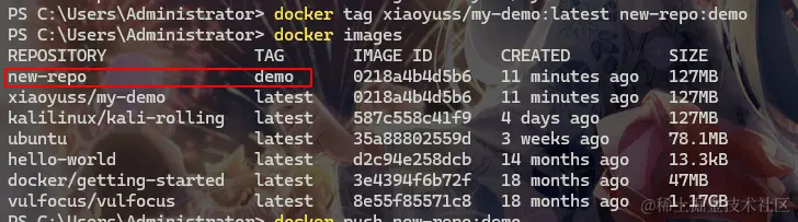 image-20240704204830242