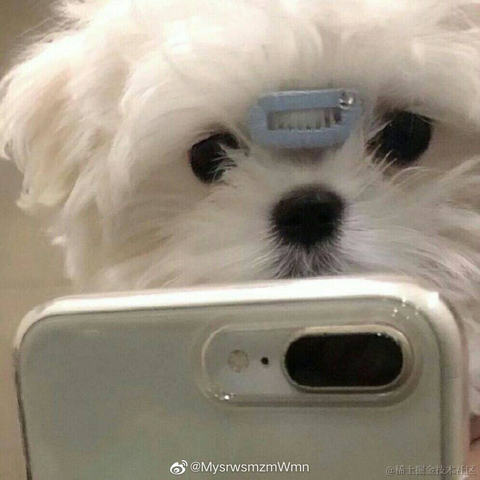 Abbeyyyyyyy于2020-10-12 13:42发布的图片