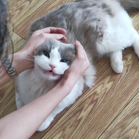 前端小凝于2023-05-14 18:12发布的图片