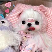 ssuu的个人资料头像