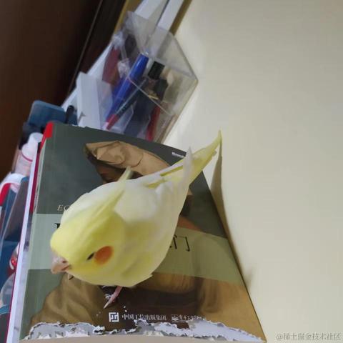 菜菜真的不知道于2022-10-12 16:13发布的图片