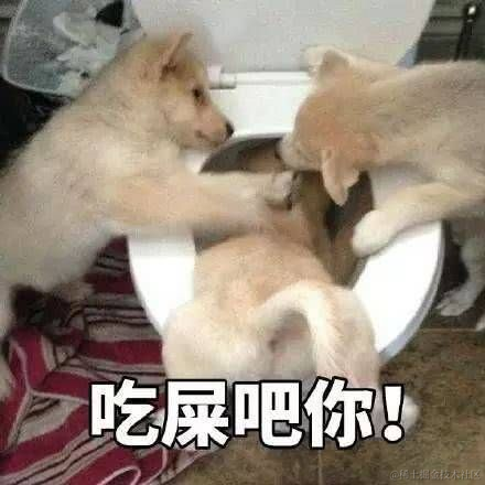 孤立无援又如何于2021-11-25 08:21发布的图片