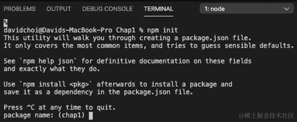 图 1.1 – npm 初始化屏幕