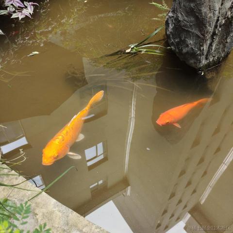 一拳一个小朋友于2020-10-07 16:11发布的图片