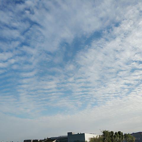 魔都不是我的家于2021-09-28 12:48发布的图片