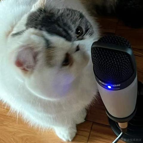 BooBoo于2021-12-27 09:38发布的图片