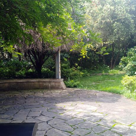 大鹏鹏于2022-12-13 11:00发布的图片