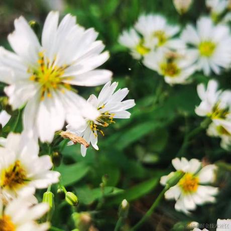 钟于没bug了于2023-04-15 19:04发布的图片