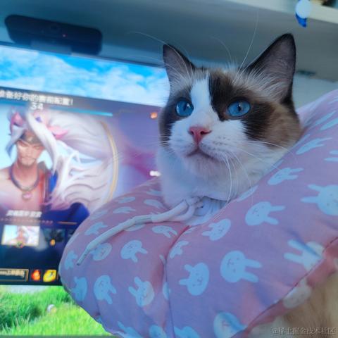 陈一月的编程岁月于2023-08-14 09:11发布的图片