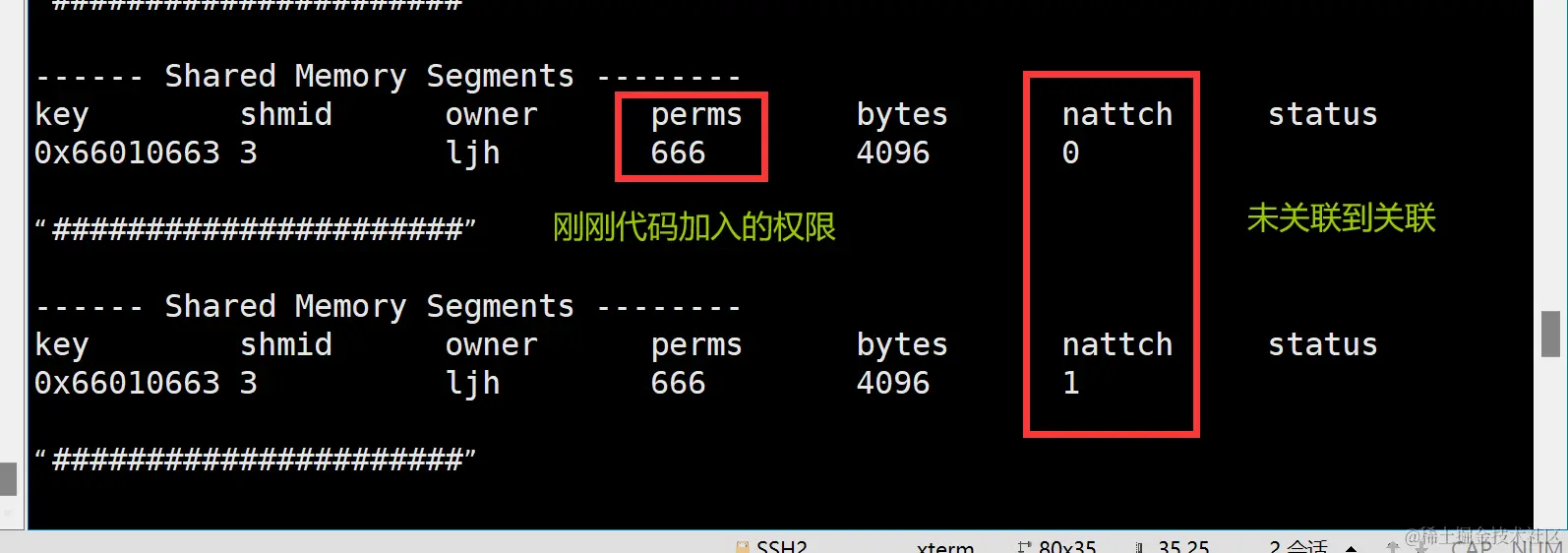 image-20240208200846735