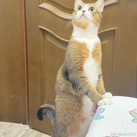 哦小七于2022-12-27 19:00发布的图片