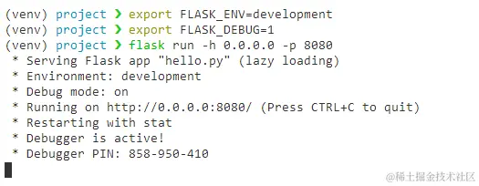 image-20211115155212995