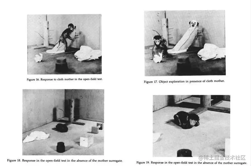 代母实验 - 瑞云渲染