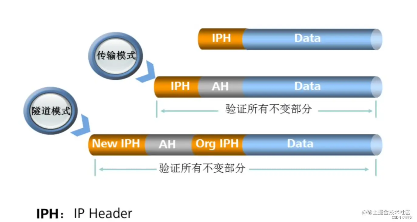 [外链图片转存失败,源站可能有防盗链机制,建议将图片保存下来直接上传(img-UzpSmjTA-1660101838491)(assets/image-20220805160751635.png)]