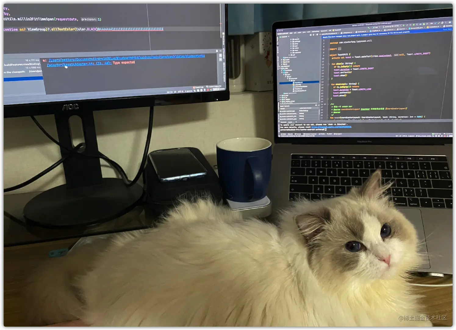 image-20210815171949157