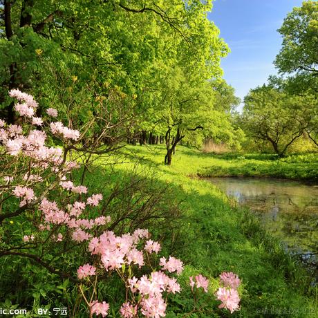 _鱼鱼鱼YU_于2022-12-16 18:05发布的图片