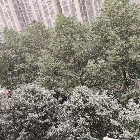 黑了于2022-12-01 10:09发布的图片