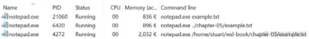 图 5.3 - 显示任务管理器中运行的 notepad.exe 的屏幕截图