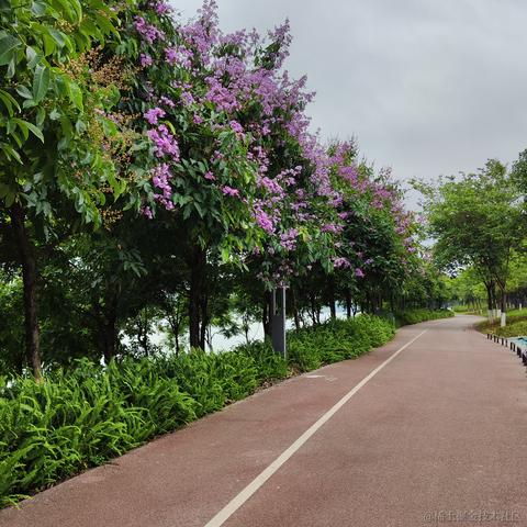 媛媛啊9813于2024-05-18 12:02发布的图片