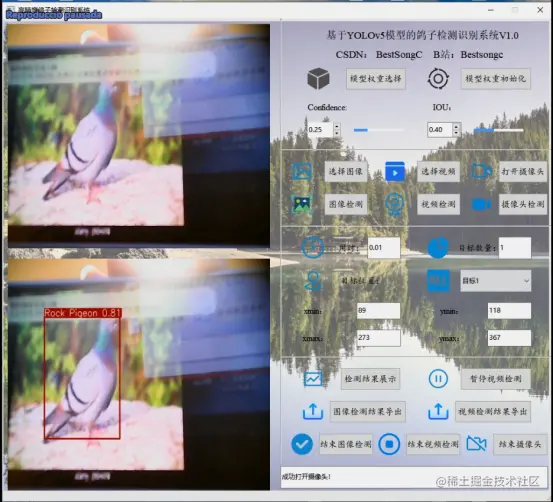 高精度鸽子检测识别系统2917.png