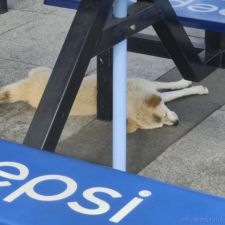 Willow_于2023-06-27 20:21发布的图片