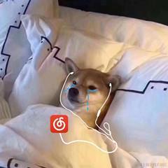 摸鱼小前端Emily于2021-02-24 16:19发布的图片