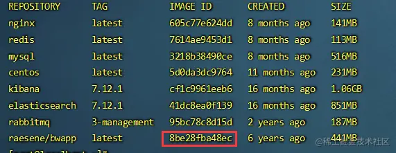 image-20220830194928857