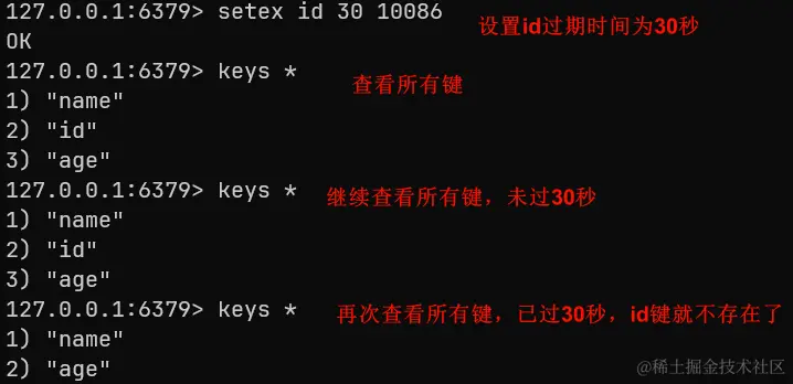 1594118712167-e17e527d-0854-428e-9557-8bbeb3c00016