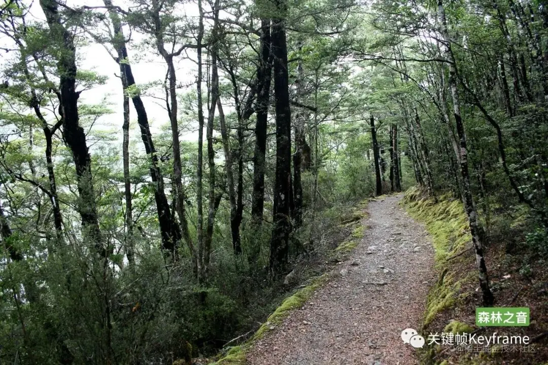新西兰·尼尔森湖国家公园