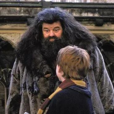 格兰芬多粪弹小王子于2022-12-28 07:22发布的图片