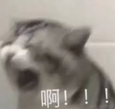 image-20240519143402341
