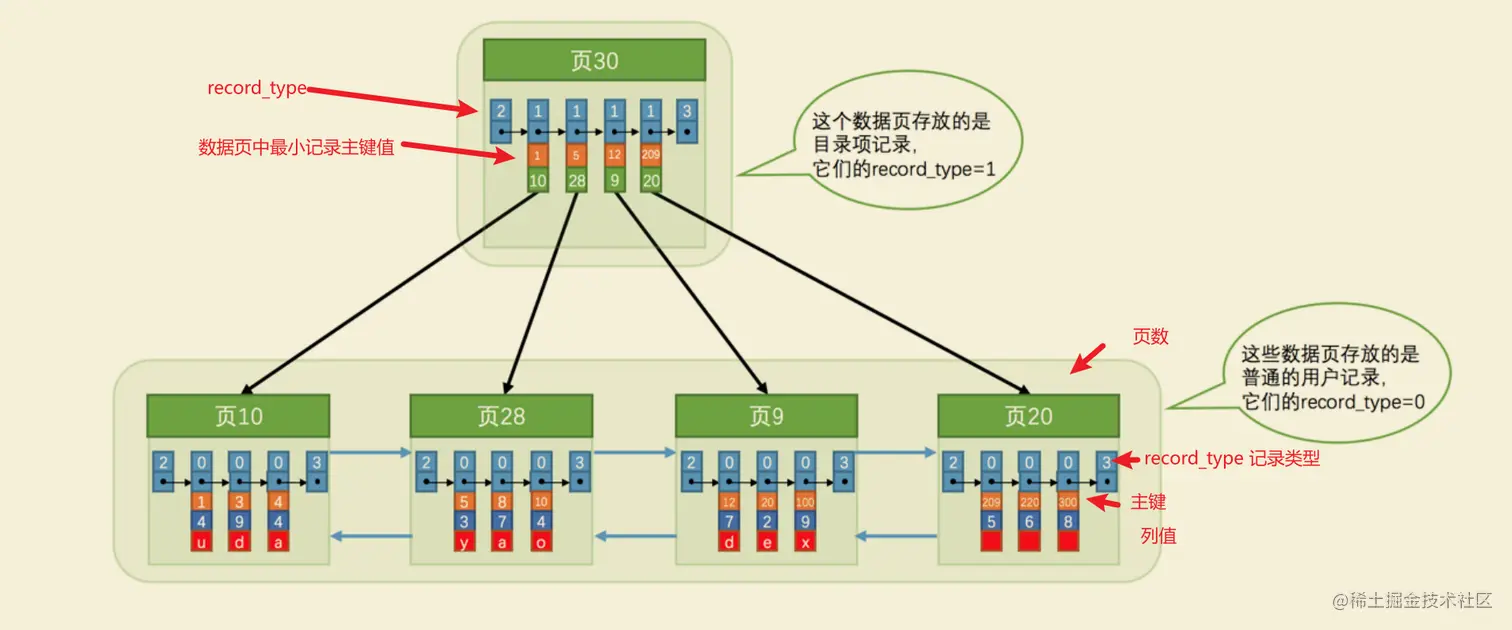 image-20220215002010727