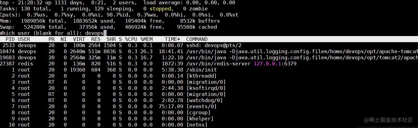 linux下TOP命令使用小技巧