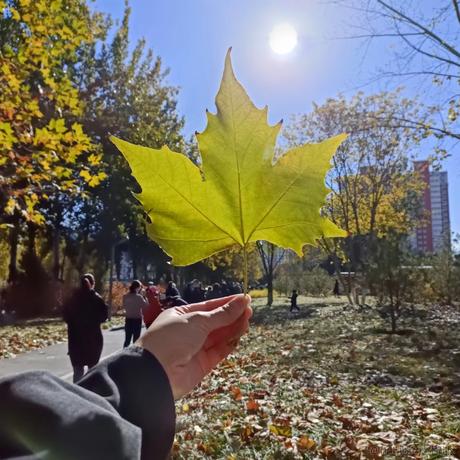 用户9199001030719于2022-11-13 12:30发布的图片